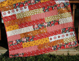 Fall Quilt Kit, Throw Blanket, Sewing Project, Art Gallery Fabrics, Minky Adult Blanket Living Room Decor, Gift for Grandma, Beginner Stripe