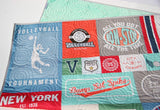 Kristin Blandford Designs Throw to Twin Quilt Kits Volleyball Quilt Kit, Varsity Sports Throw Blanket, Sewing Project Large Panel Minky Adult Blanket Home Decor Gift for Girl Faux Patchwork